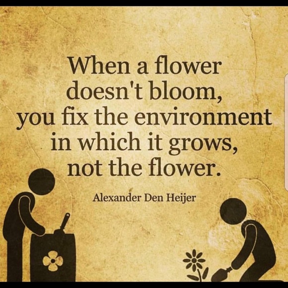 Meet your Posher, Luna Azul - Picture 5 of 6